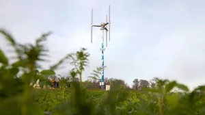 Rotorblätter, Wind